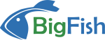 BigFish