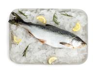 Горбуша тушка ПСГ-Jpeg-5670(20)