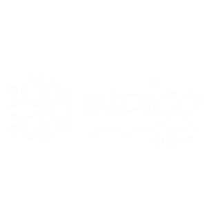 ЛОГО ИНДИГО