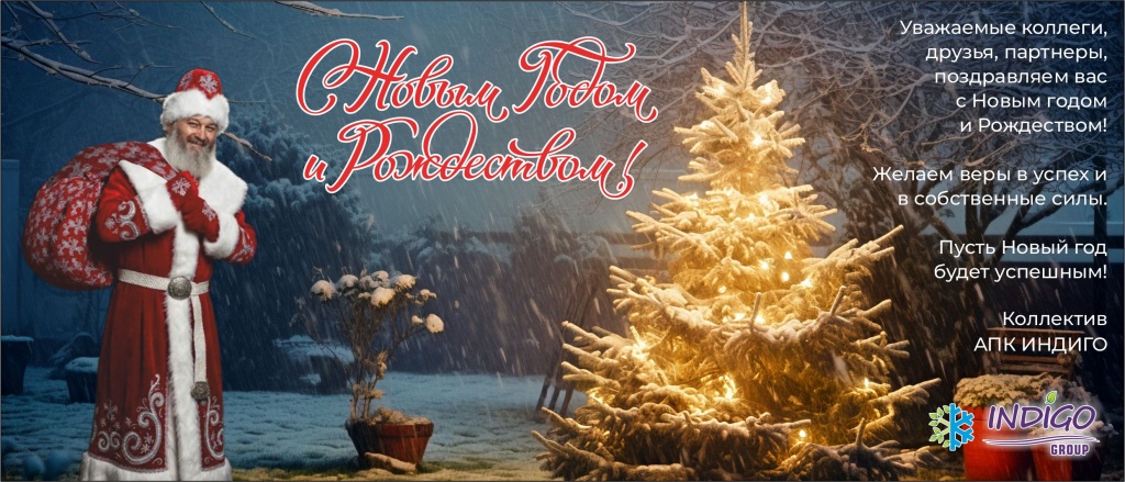 Открытка с НГ-Индиго-25-веб.jpg