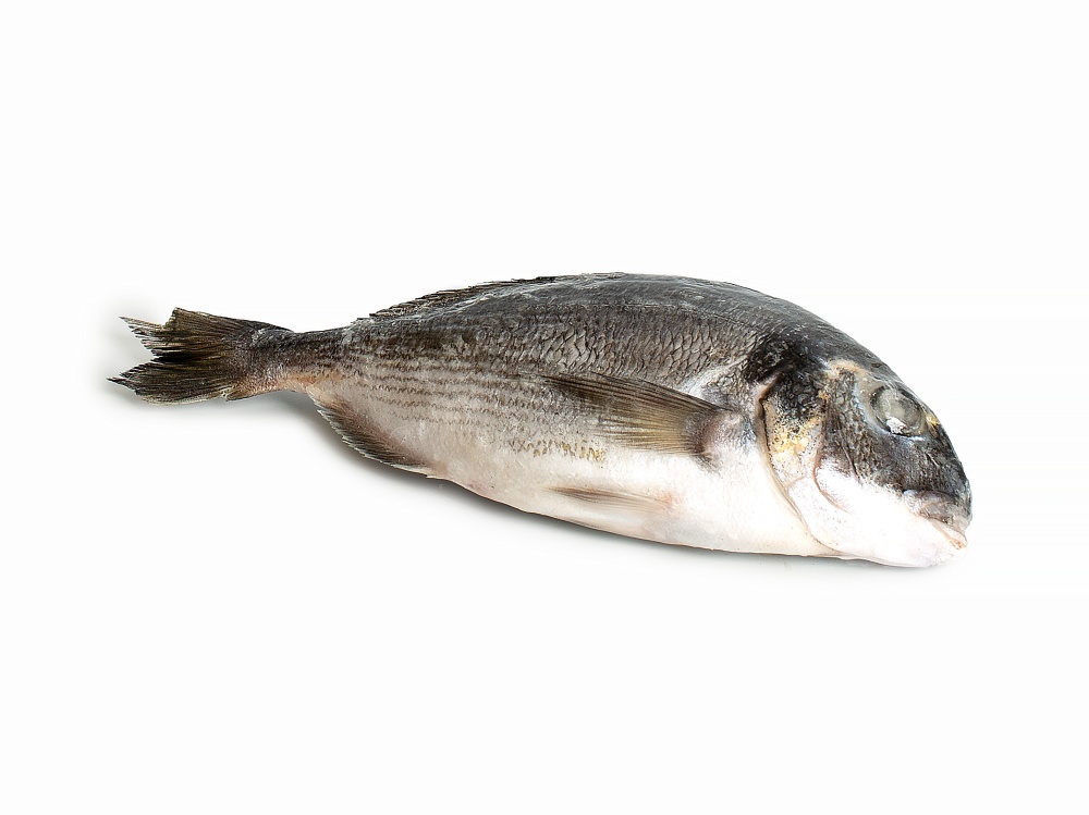 ДОРАДО н/р с/г