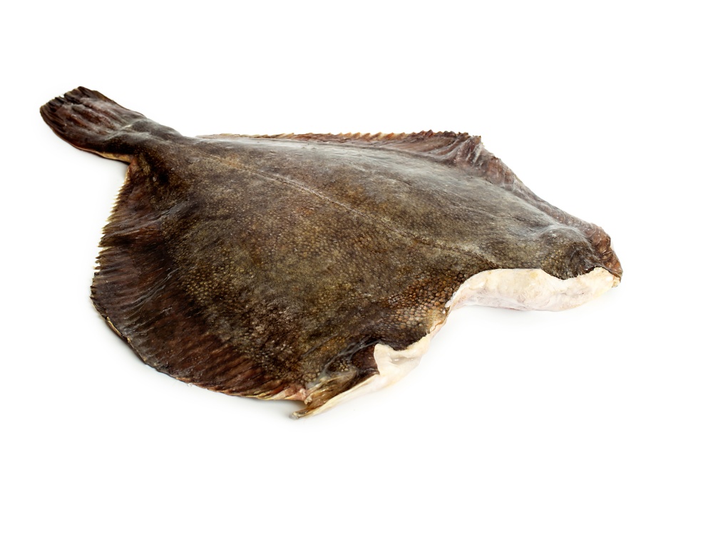 КАМБАЛА тушка  БГ / L