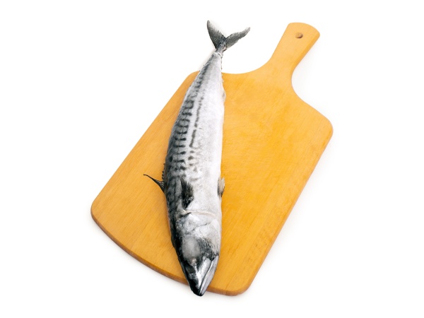 СКУМБРИЯ тушка