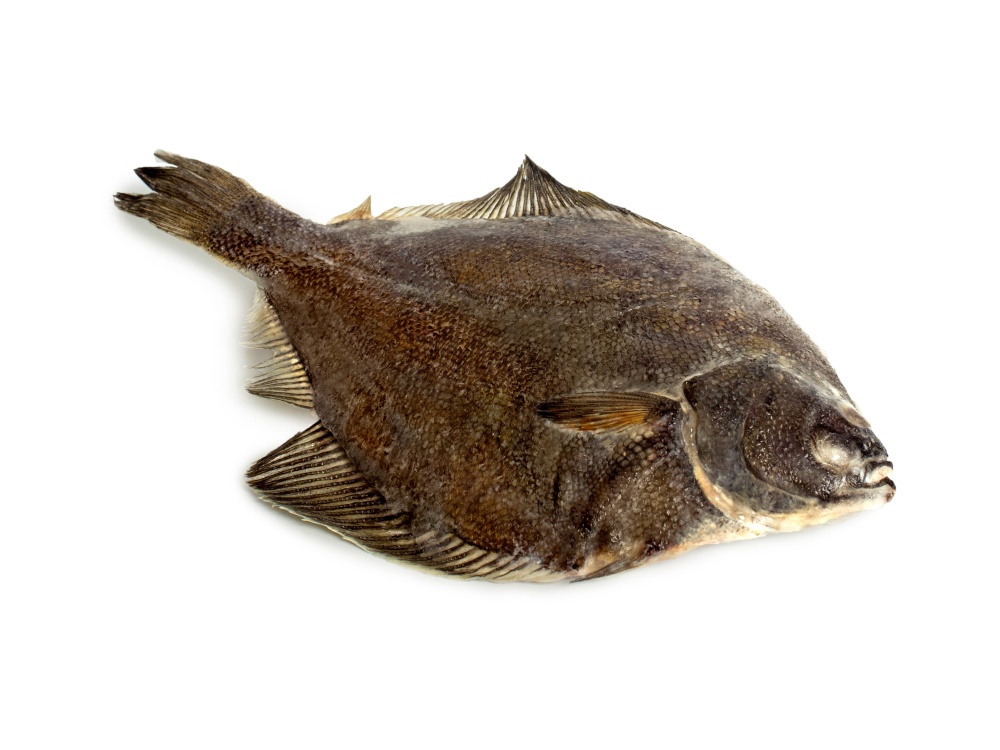 КАМБАЛА тушка НР  / 2S / (BIG FISH флоупак)  