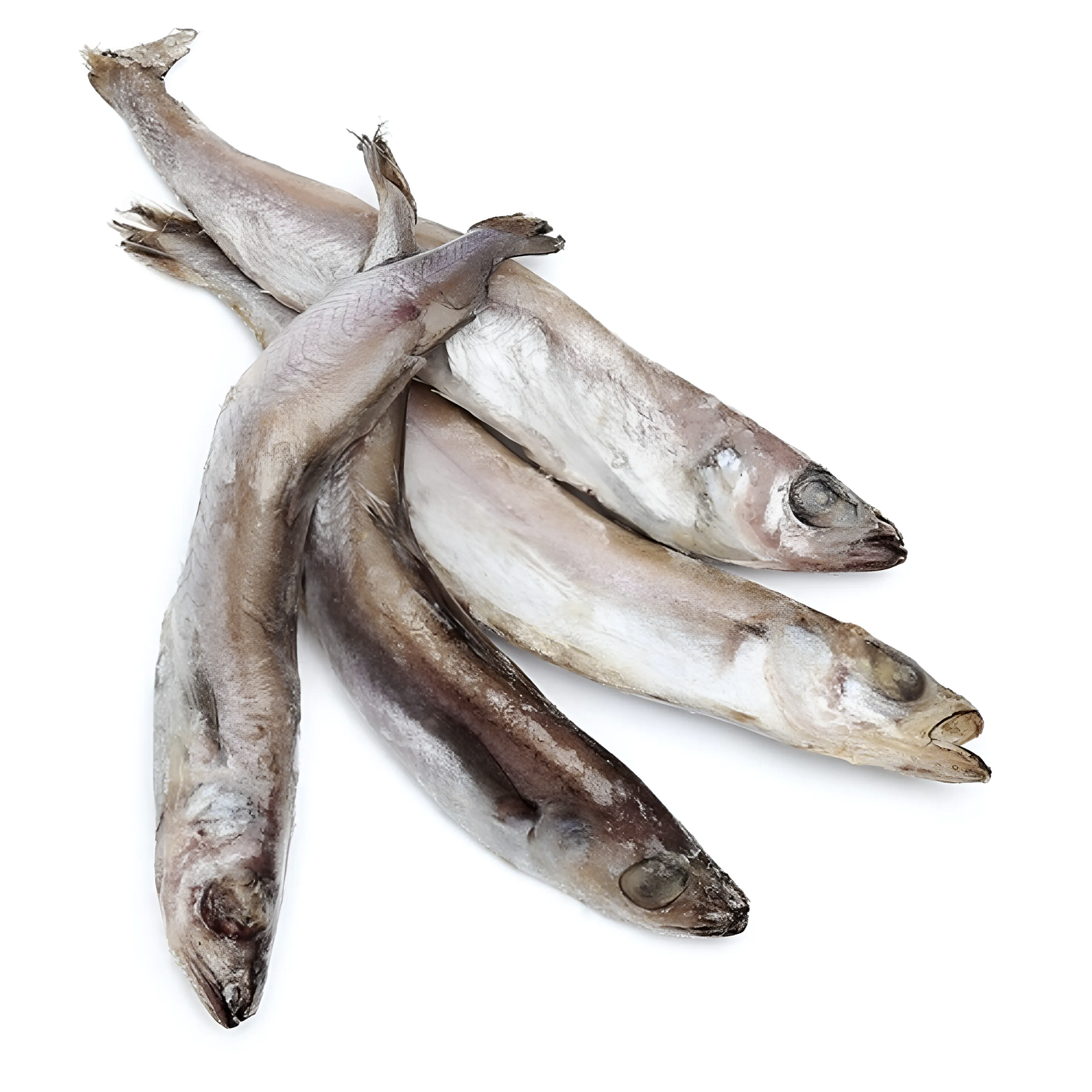 ПУТАССУ тушка НР /18+/ Атлантика / 0,8кг флоупак (BigFish)