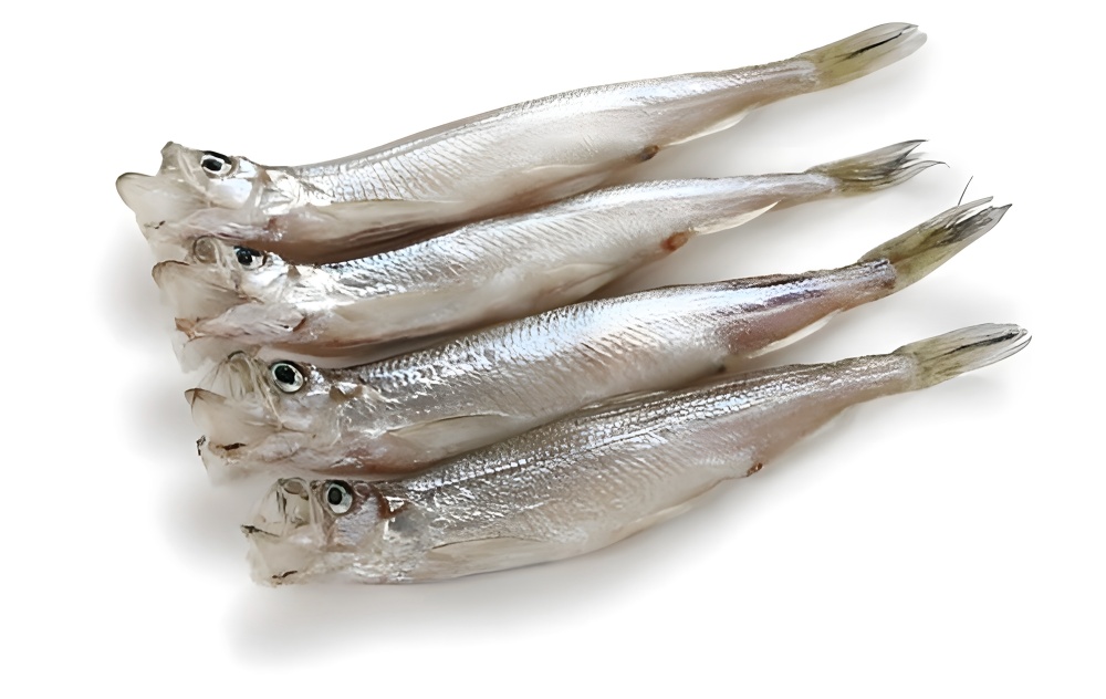 Мойва тушка-Jpeg-5764(31)3