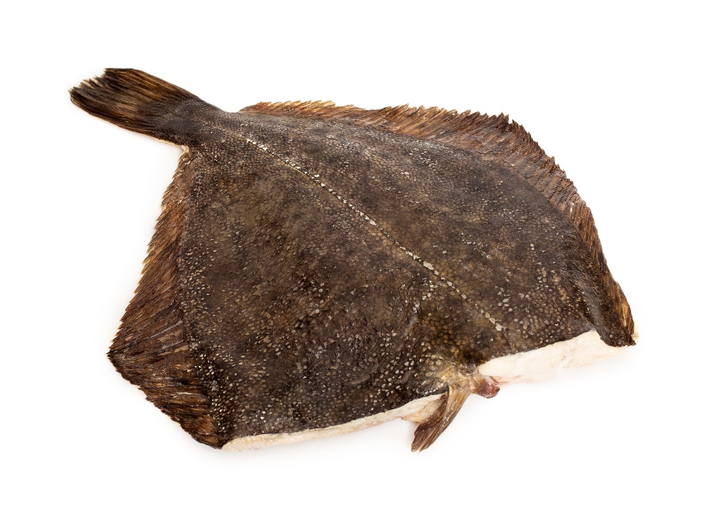 КАМБАЛА тушка  БГ / L