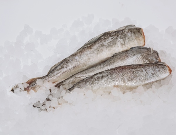 НАВАГА тушка БГ